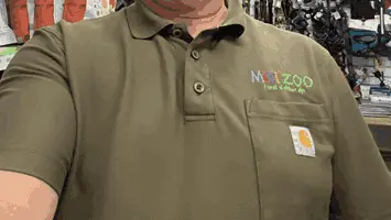 Job i MiniZoo